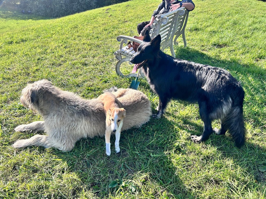  Keke – Beste Laune von den Buschperlen 