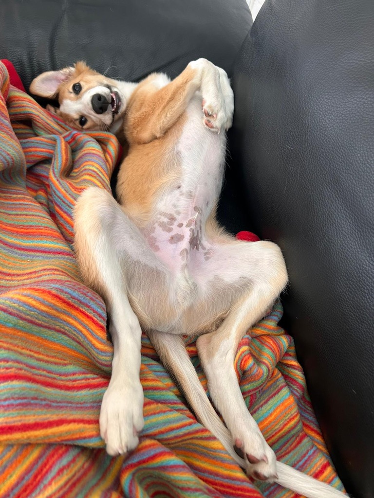  Keke – Beste Laune von den Buschperlen 