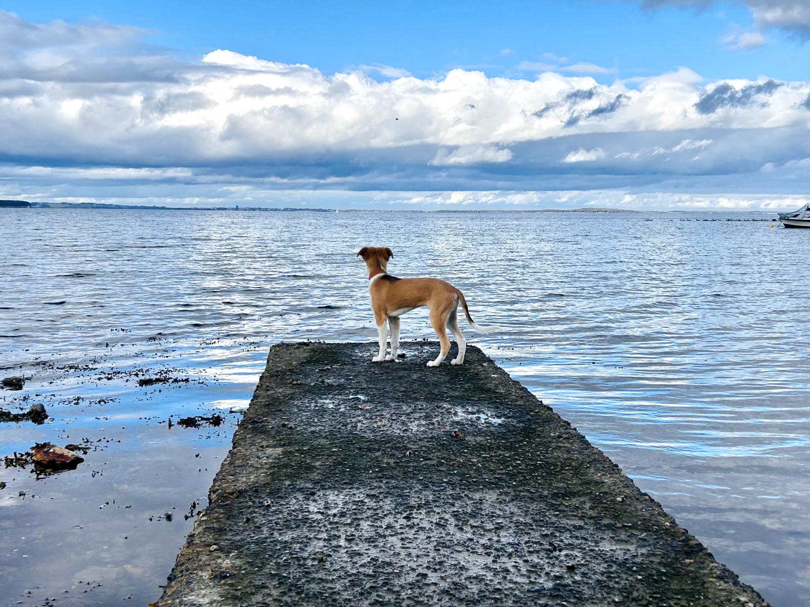  Keke – Beste Laune von den Buschperlen, Foto: www.kath-fotografie.de 