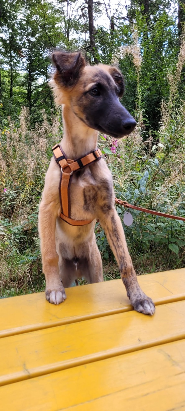  Bay – Bester Schatz von den Buschperlen 