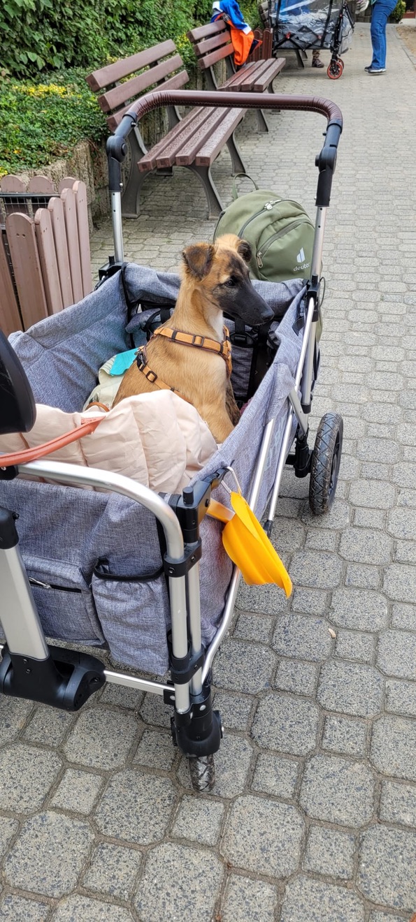  Bay – Bester Schatz von den Buschperlen 