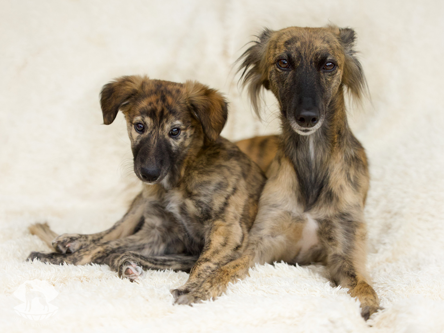  Beste Freundin von den Buschperlen mit Mama Jeannie 
