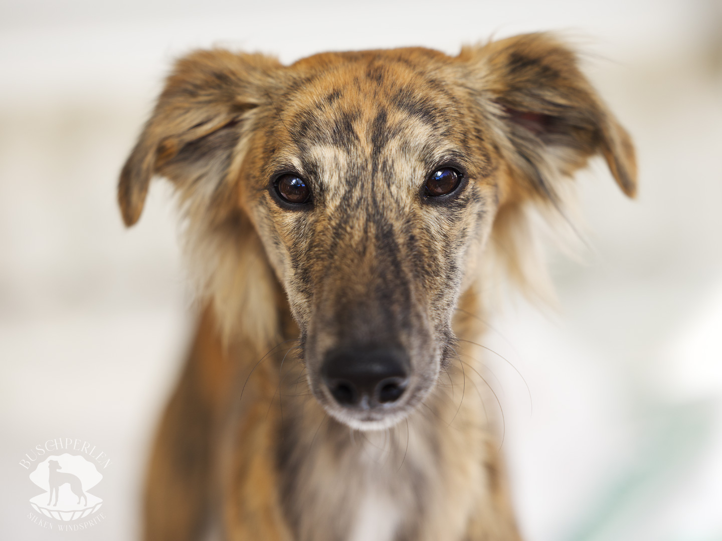  Beste Freundin von den Buschperlen 