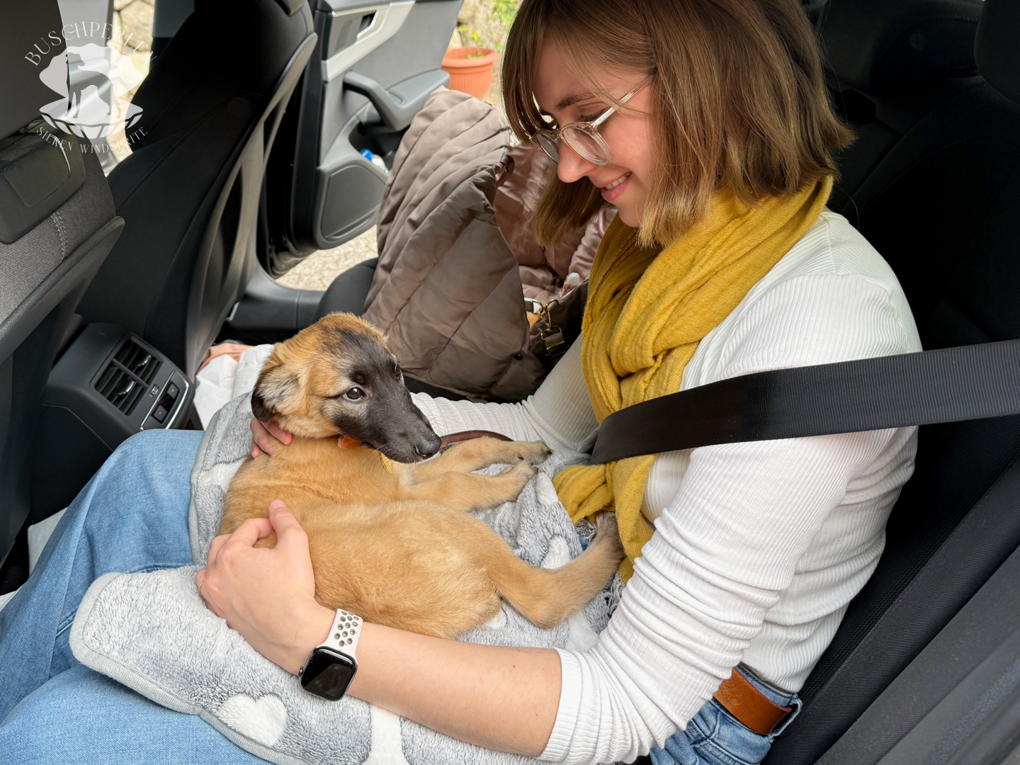  Bert – Bester Freund von den Buschperlen 