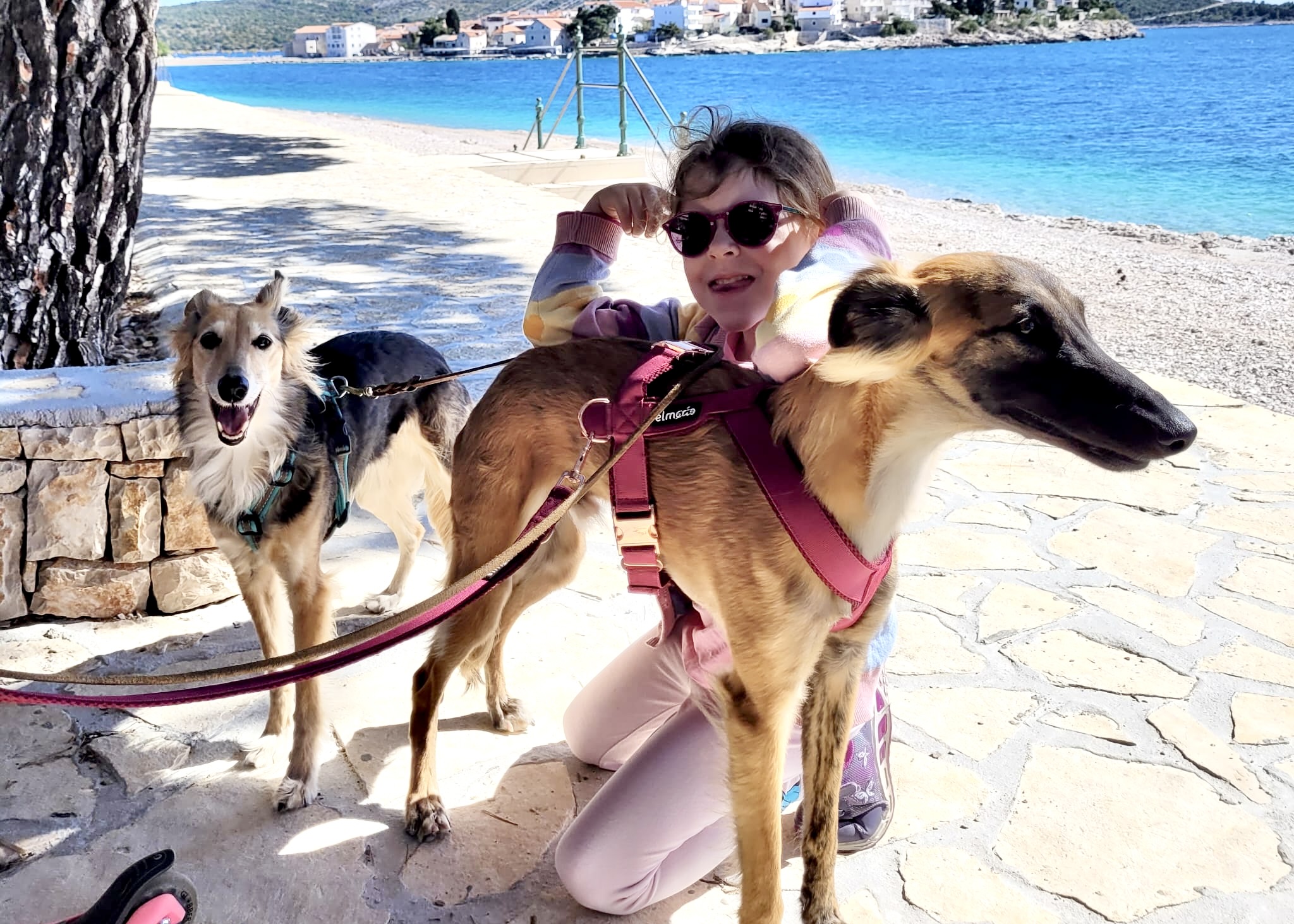  Bay – Bester Schatz von den Buschperlen mit Freundin Benice – Silken Speed Bonni 